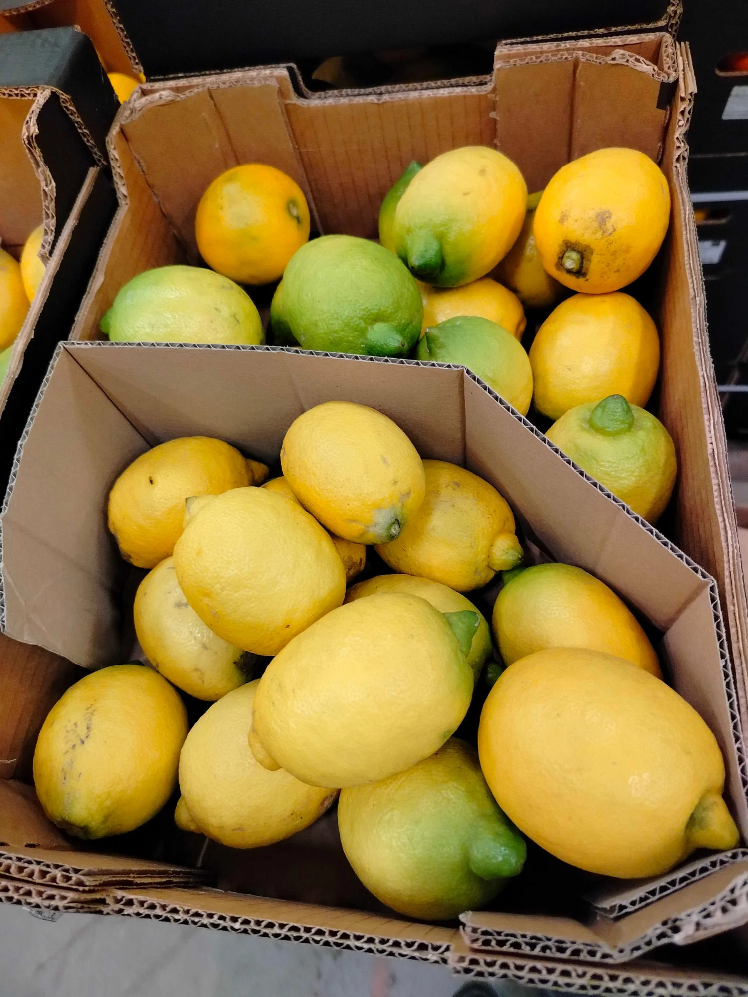 CITRÓNY 2KG - Obrázek 2