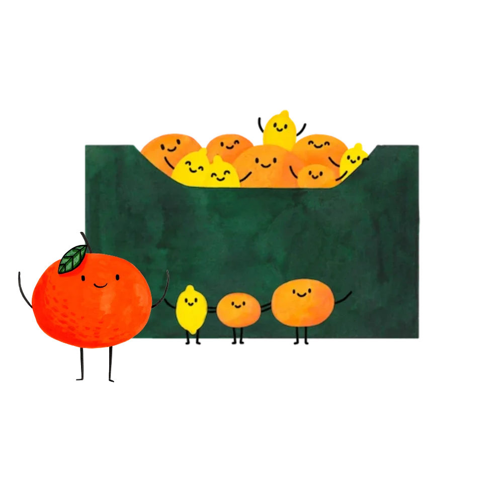 CITRUSOVÁ BEDÝNKA (velká) 6 KG