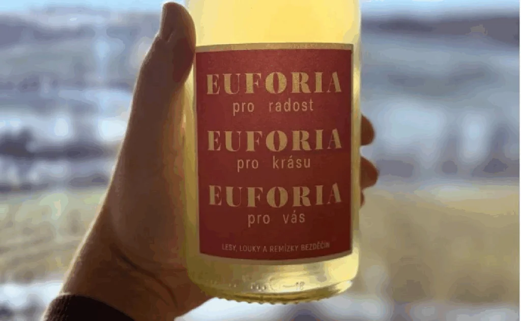 Náhledový obrázek