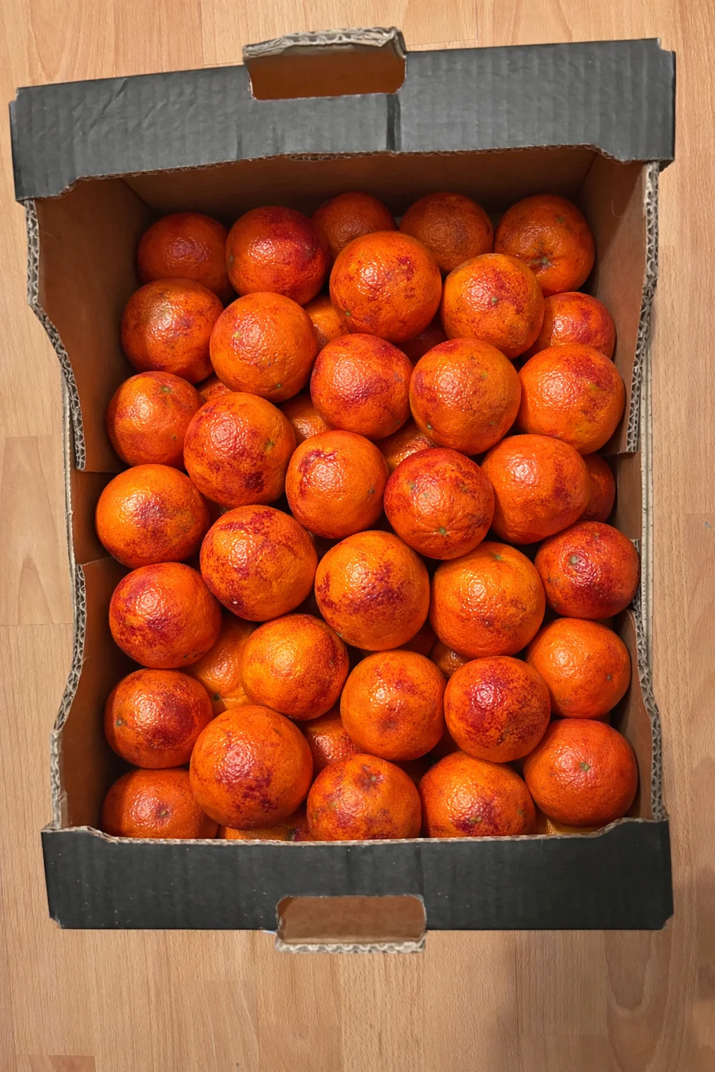 KRVAVÉ POMERANČE 9KG - Obrázek 2