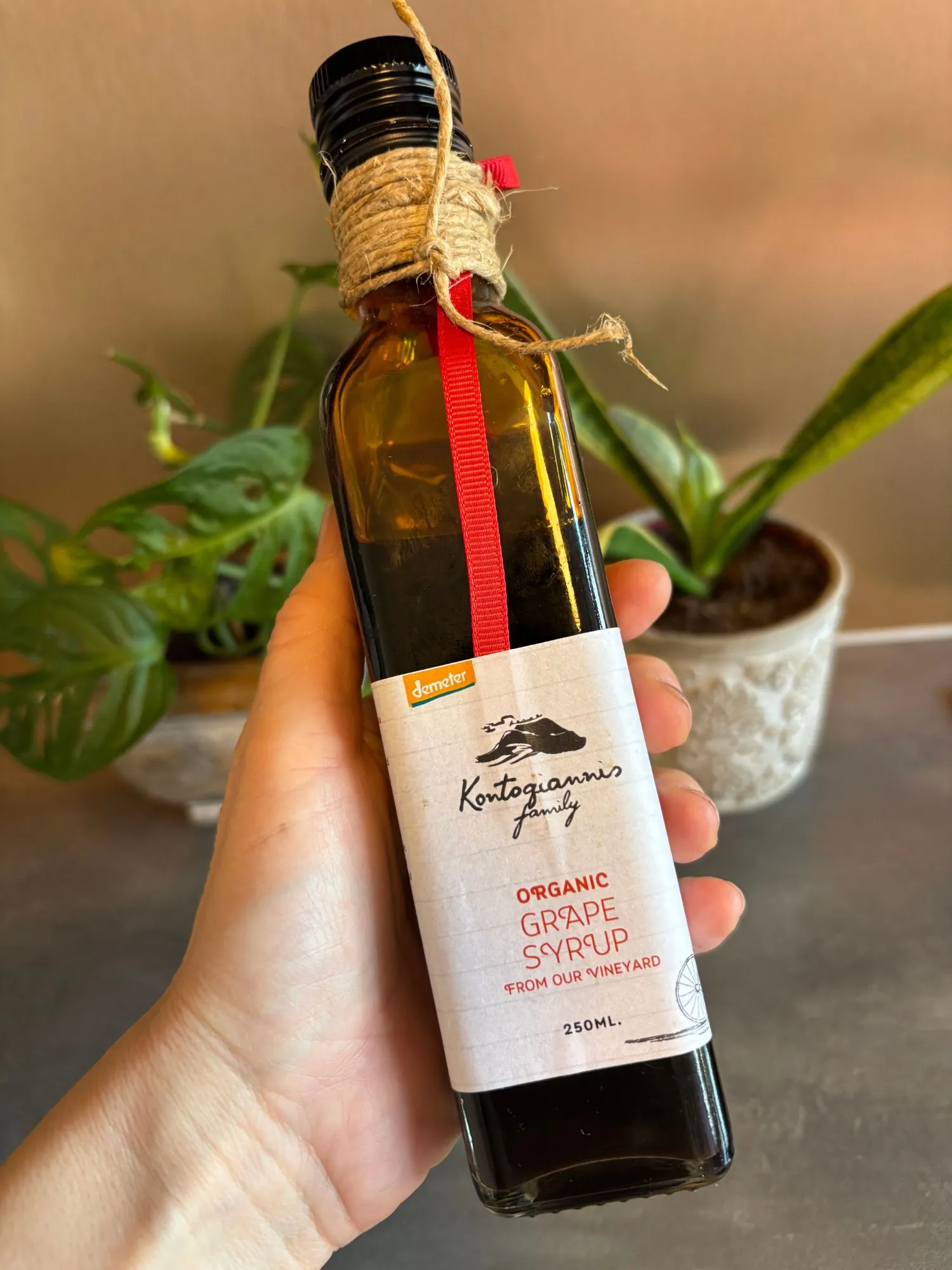 Hroznový sirup - Obrázek 2