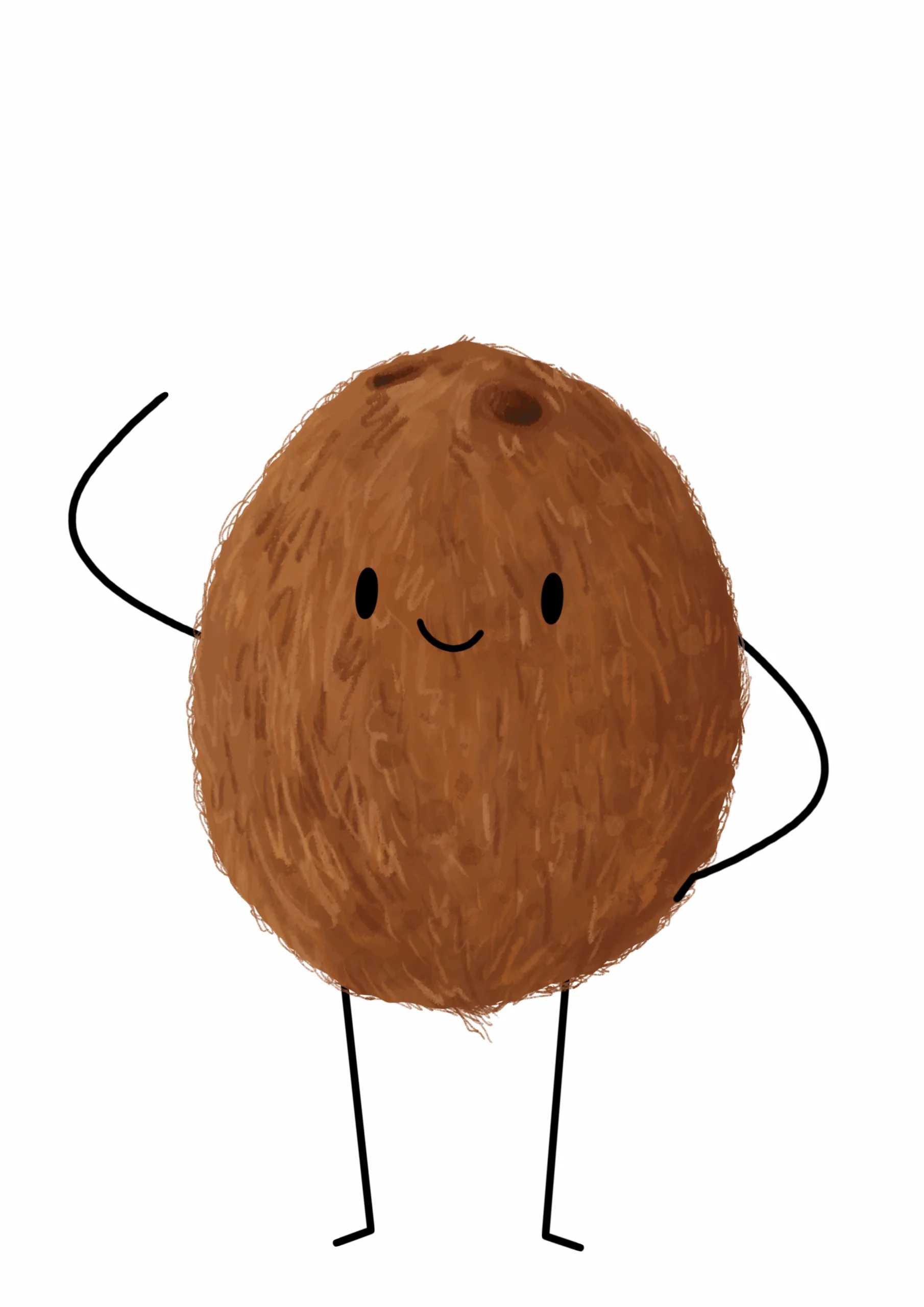 KOKOS SUCHÝ 0,5 KG
