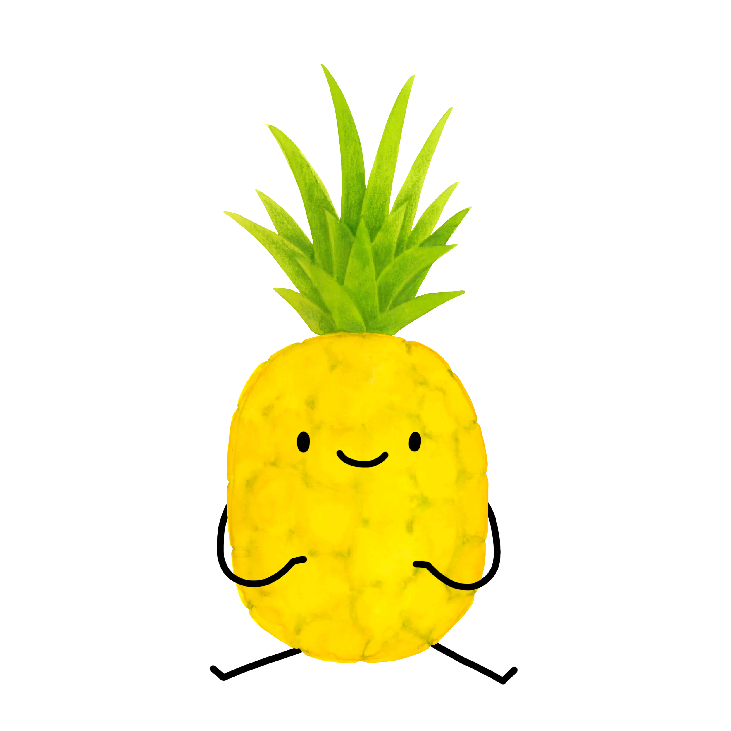 ANANAS cca 1,8KG